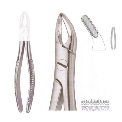 Extracting Forceps